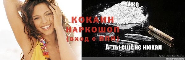 дживик Абинск