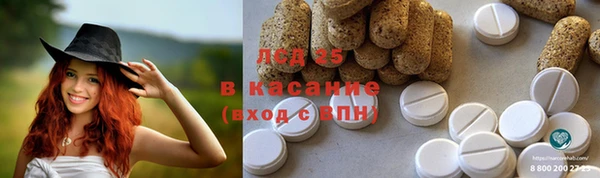 дживик Абинск